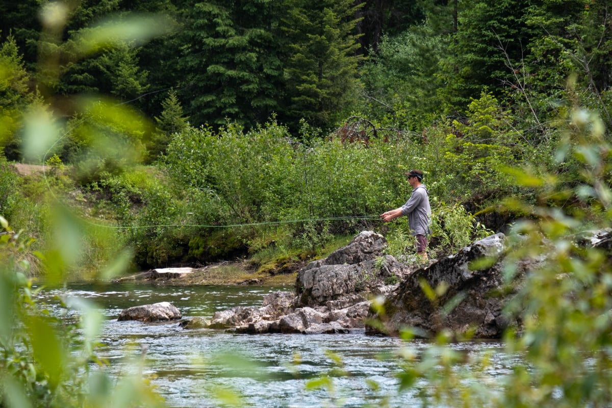 How Beginners Can Get Started in Fly Fishing, Part I : Simplify – Temple  Fork Outfitters Canada