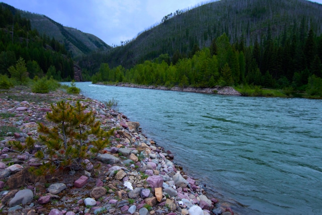 Middle-Fork-of-the-Flathead-River