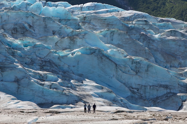 Walker Glacier Glacier Bay National Park